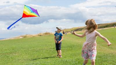 Kite on The Leas